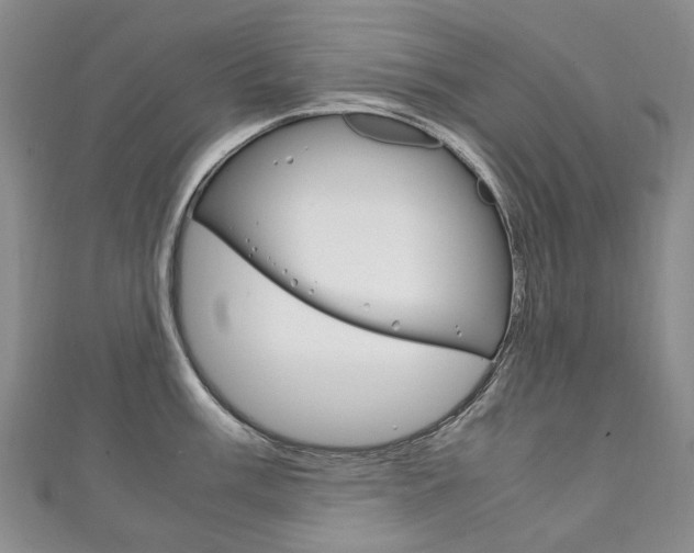 X0000111211003200907011047