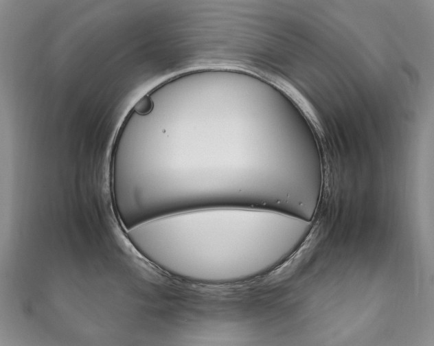 X0000111211004200907011047