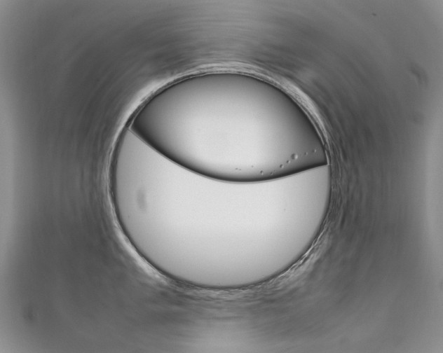 X0000111211005200907011047