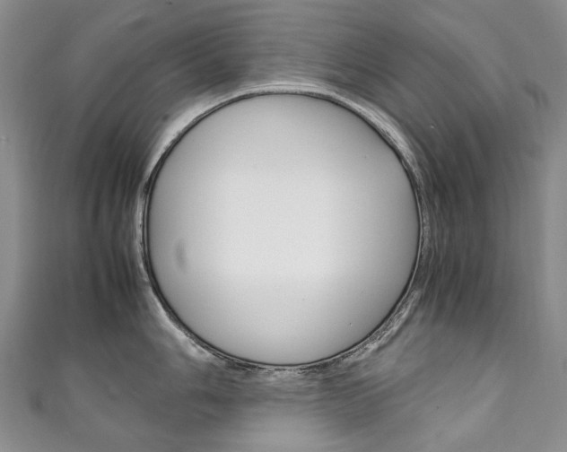 X0000111211006200907011047