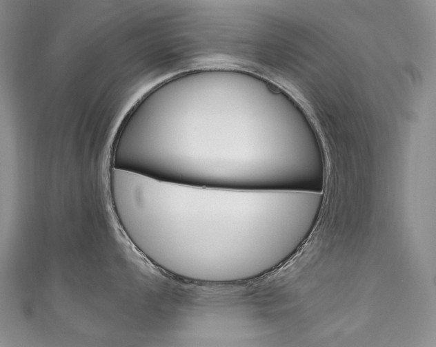 X0000111211008200907011047