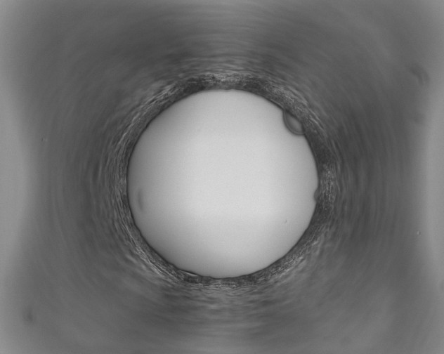 X0000111211009200907011046