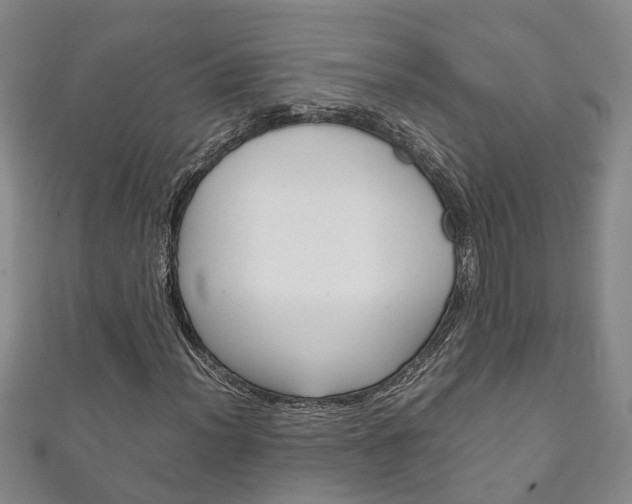 X0000111211012200907011046