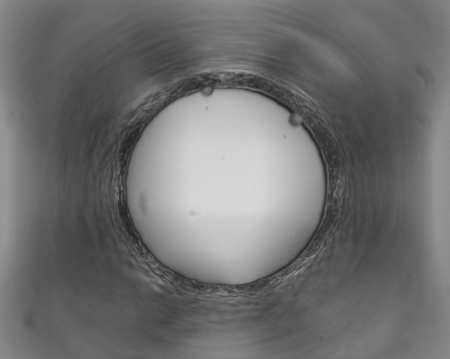 X0000111211014200907011046