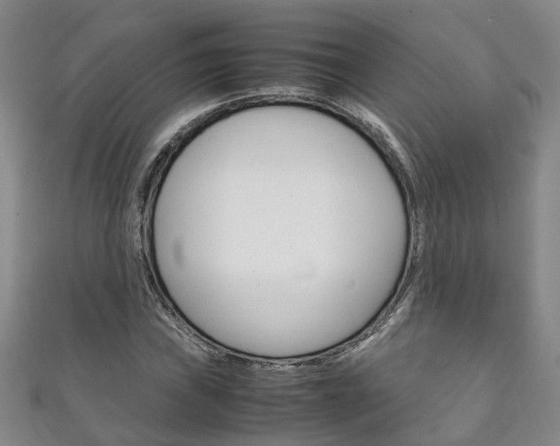 X0000111211019200907011046