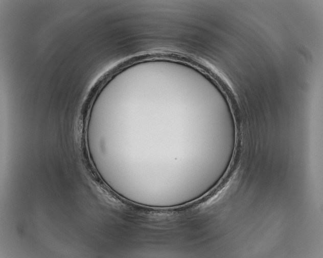 X0000111211021200907011047