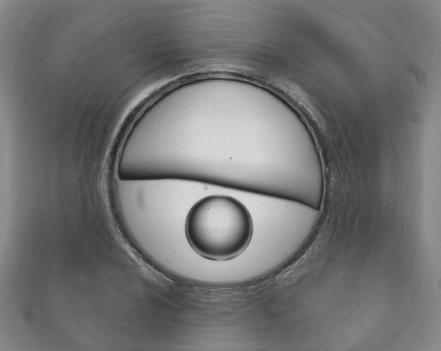 X0000111211024200907011047
