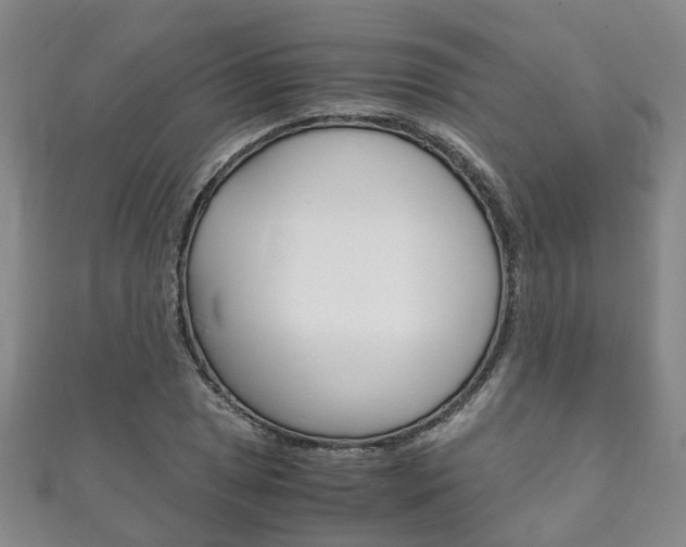 X0000111211025200907011047