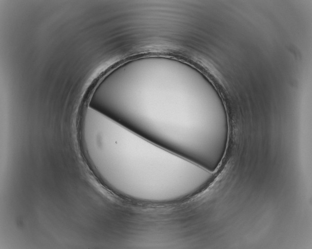 X0000111211026200907011047