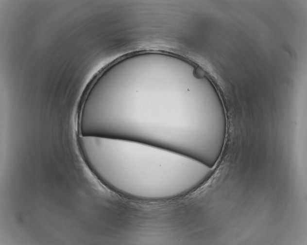 X0000111211032200907011047