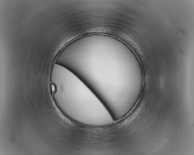 X0000111211033200907011047