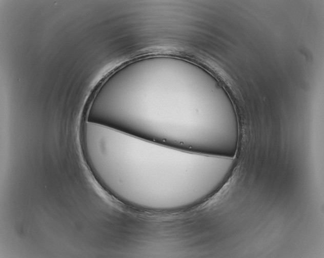 X0000111211034200907011047