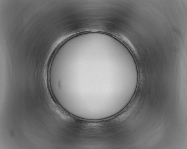 X0000111211035200907011047