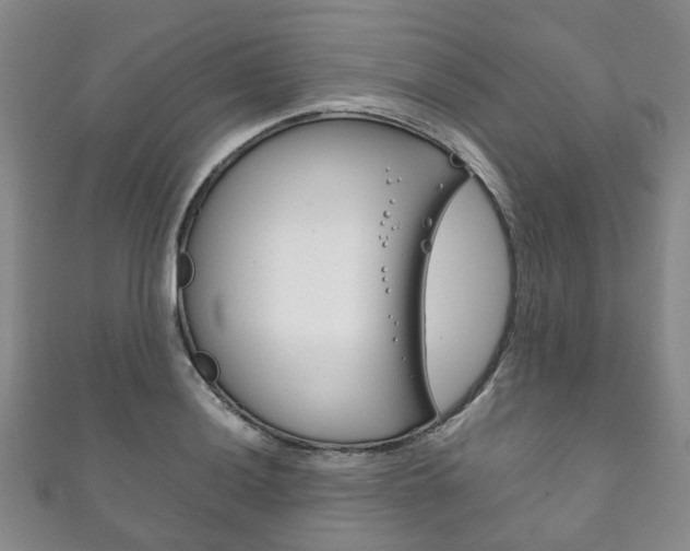 X0000111211036200907011047