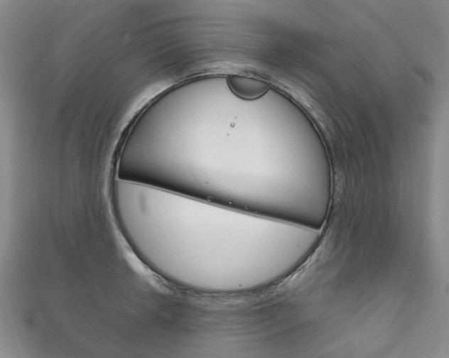 X0000111211042200907011047