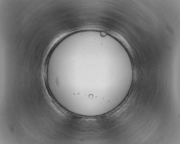 X0000111211043200907011047