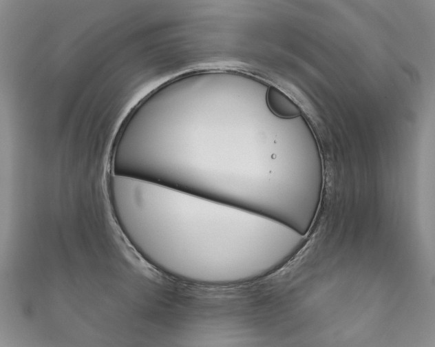 X0000111211044200907011047