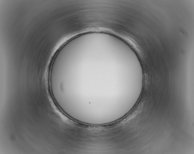 X0000111211046200907011047