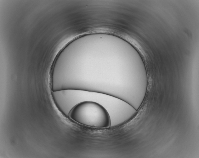 X0000111211047200907011047