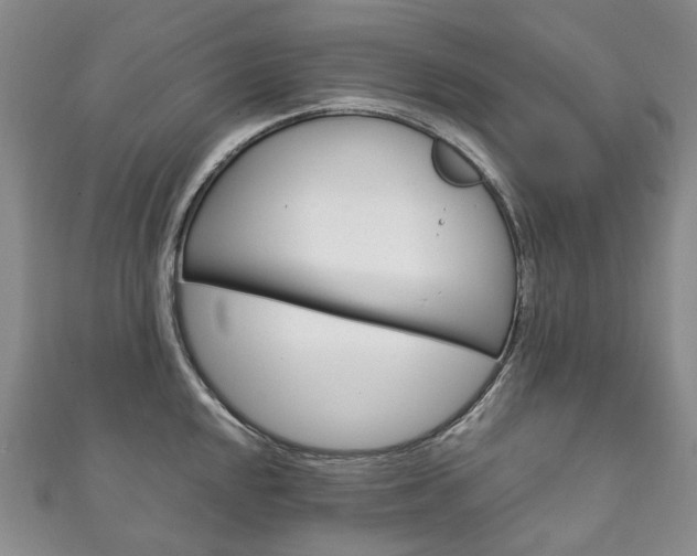 X0000111211048200907011047