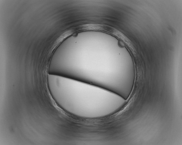X0000111211049200907011047