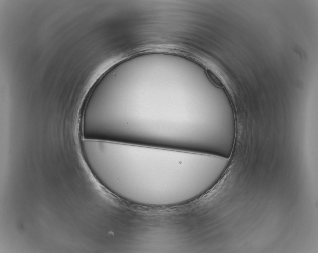 X0000111211050200907011047