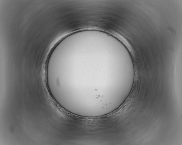 X0000111211051200907011047