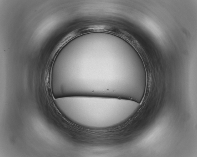 X0000111211052200907011047