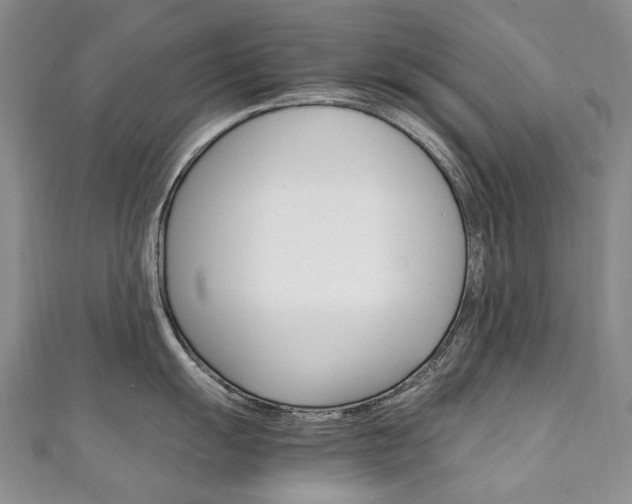 X0000111211055200907011047
