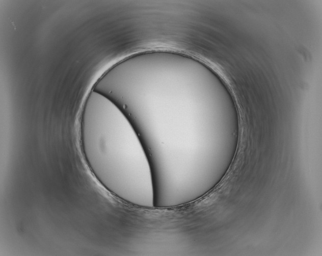X0000111211056200907011047