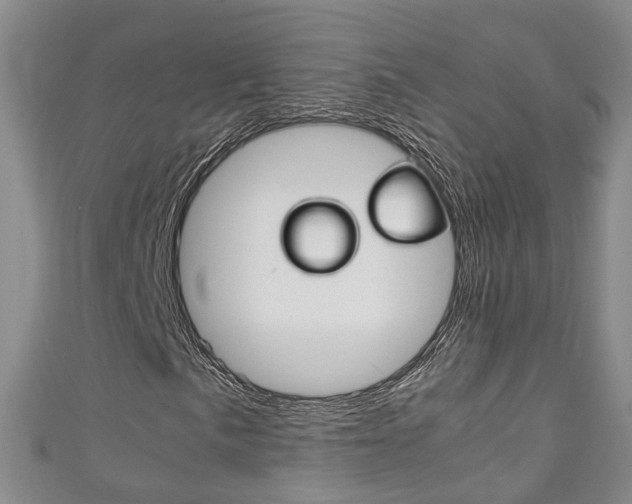 X0000111211057200907011046