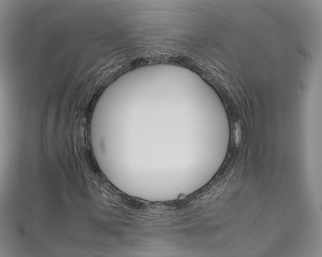 X0000111211059200907011046