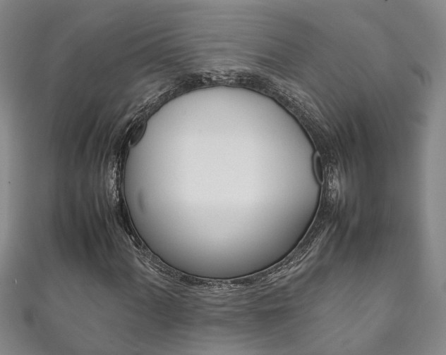 X0000111211060200907011046