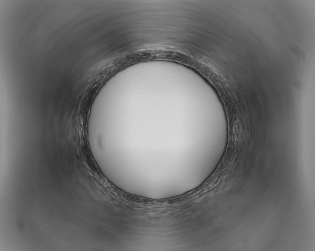 X0000111211062200907011046