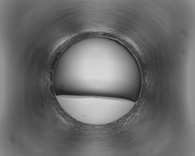 X0000111211064200907011046