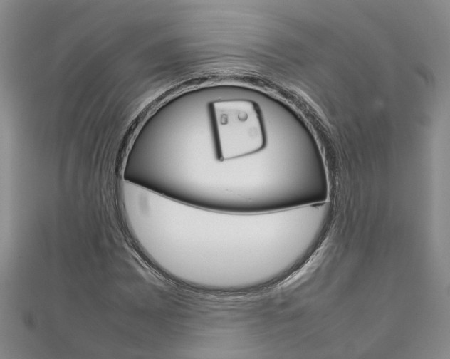 X0000111211065200907011046