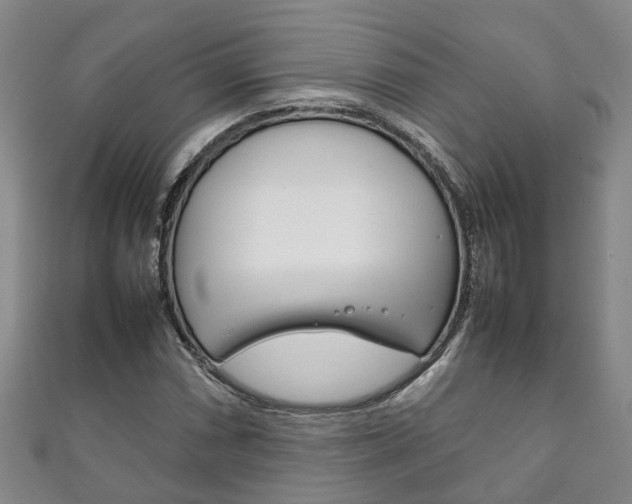 X0000111211066200907011046