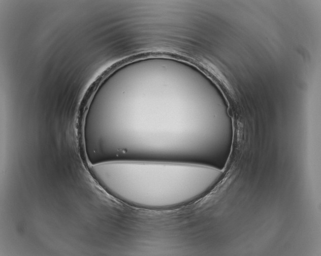 X0000111211068200907011046