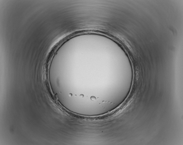 X0000111211069200907011046