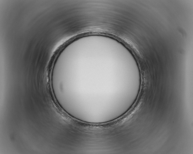 X0000111211070200907011046
