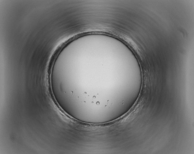 X0000111211072200907011046