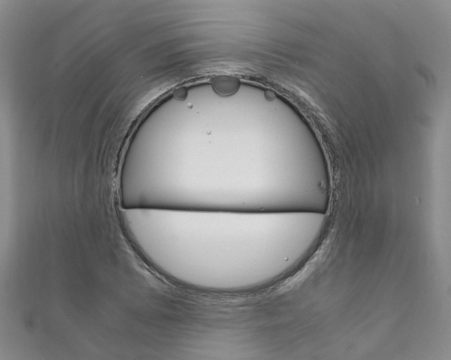 X0000111211073200907011046