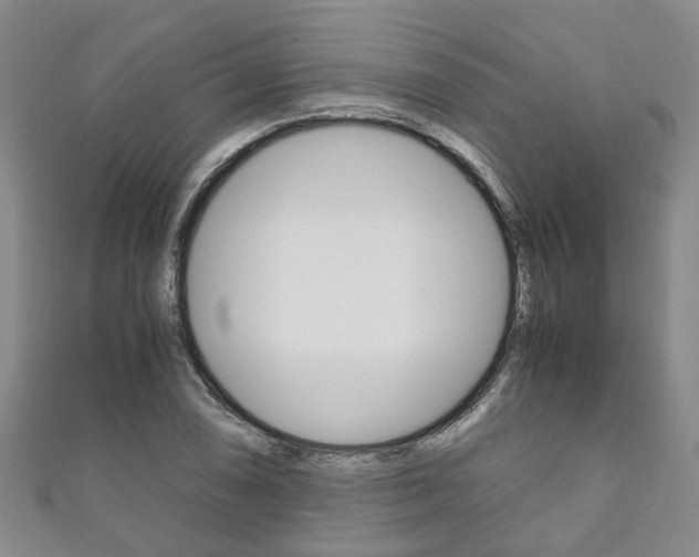 X0000111211074200907011046