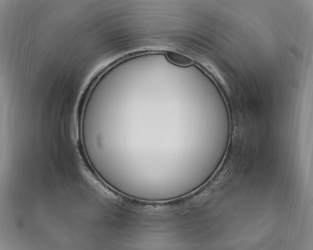 X0000111211080200907011046