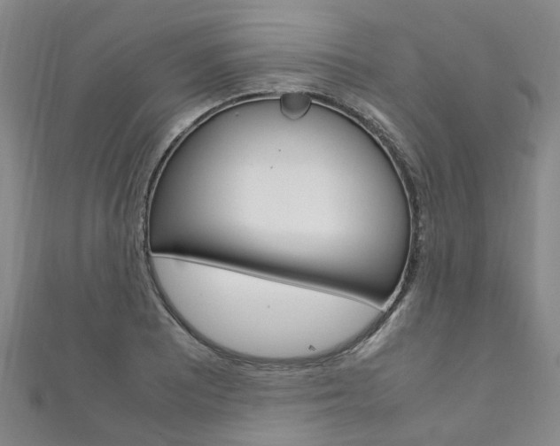 X0000111211081200907011046