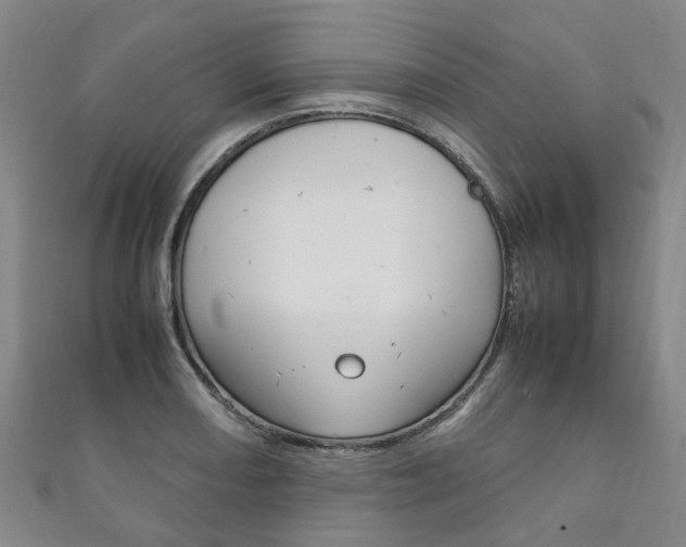 X0000111211082200907011046