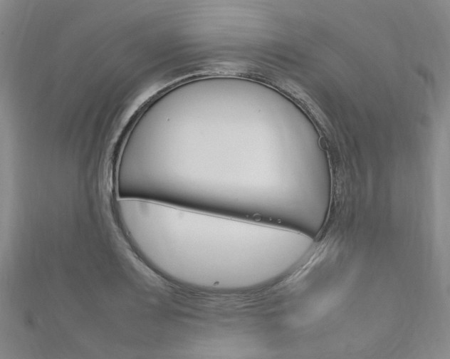 X0000111211083200907011046