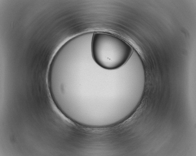 X0000111211084200907011046