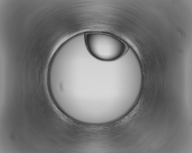 X0000111211085200907011046