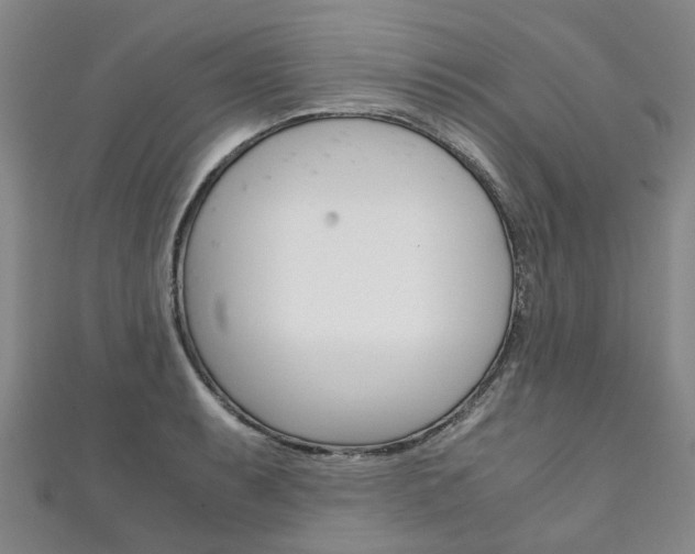 X0000111211087200907011046